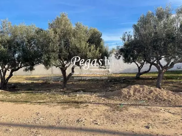photo bien Un terrain à vendre à Djerba la zone touristique