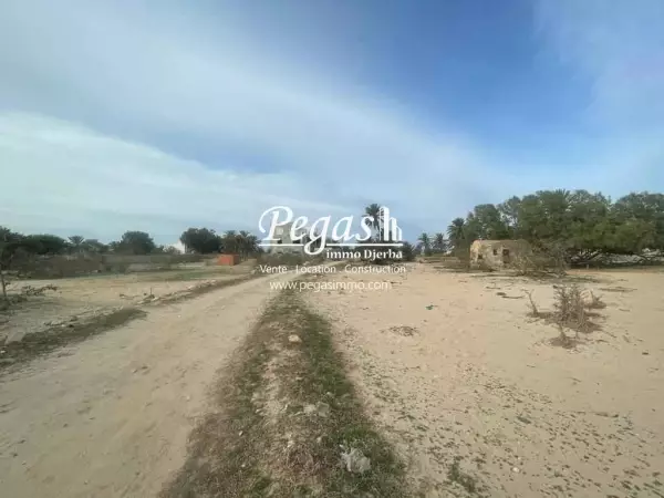 photo bien Terrain à mezraya Djerba à vendre titre bleu et permis de construction