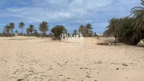 photo bien Terrain à vendre à Djerba en zone urbaine et titre bleu