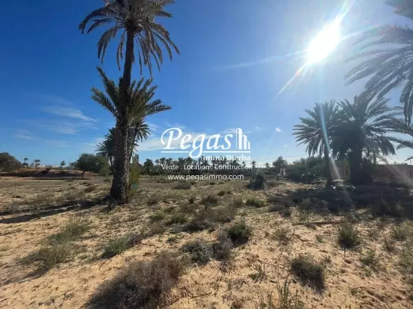 photo bien Terrain à vendre à Djerba Seguia