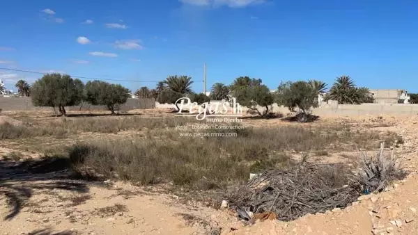 photo bien Terrain à vendre à Tezdaine Djerba Midoun