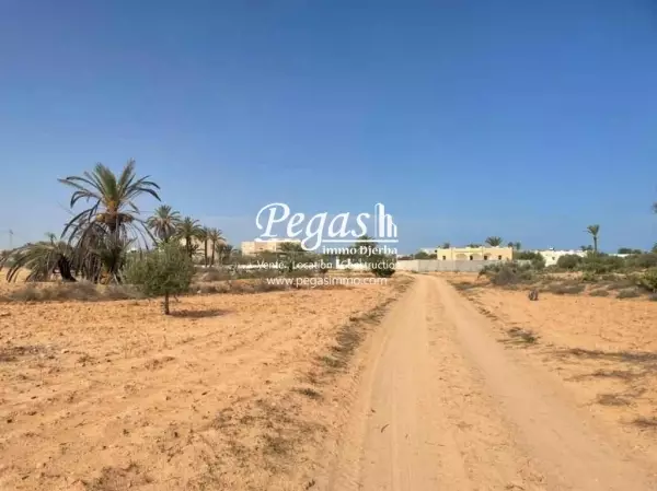photo bien un terrain de 693 m² à vendre à Tezdaine Djerba Titre bleu