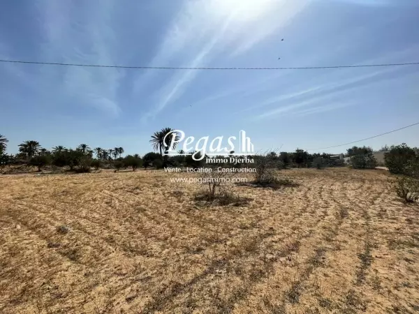 photo bien Terrain à vendre à Mgeursa Djerba Midoun zone urbaine et titre bleu
