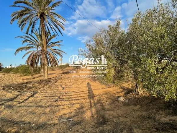photo bien Terrain à vendre à 4 minutes de la plage Seguia